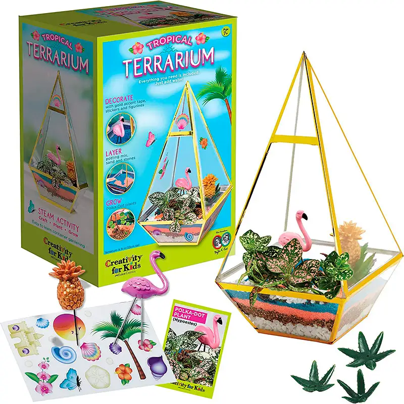Creativity For Kids 6322000 Kit De Artesania Terrario Tropical